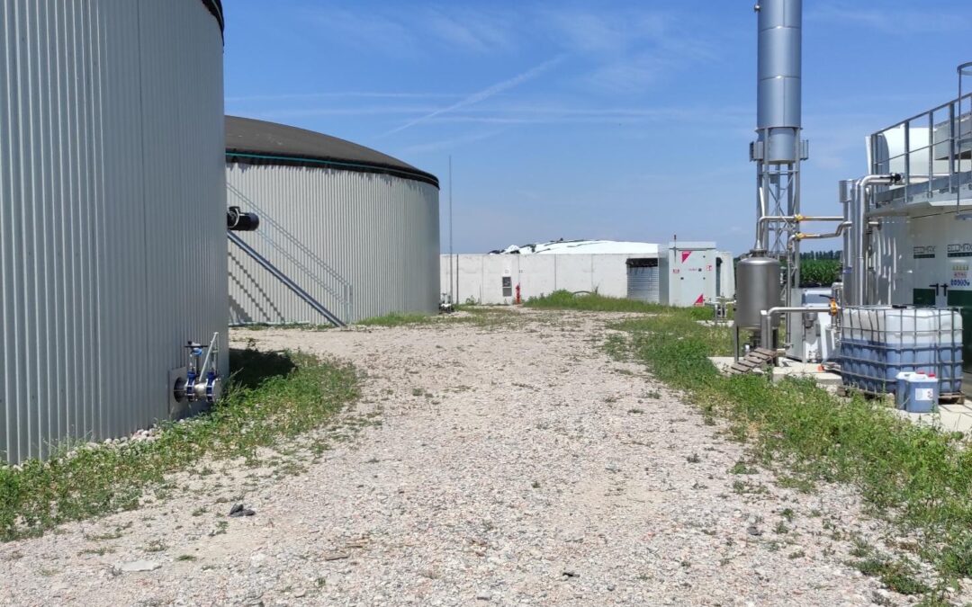 Impianto biogas 300 kW 