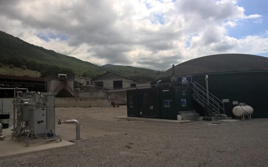 Impianto biogas 100 kW 